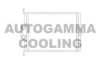 AUTOGAMMA 105420 Heat Exchanger, interior heating